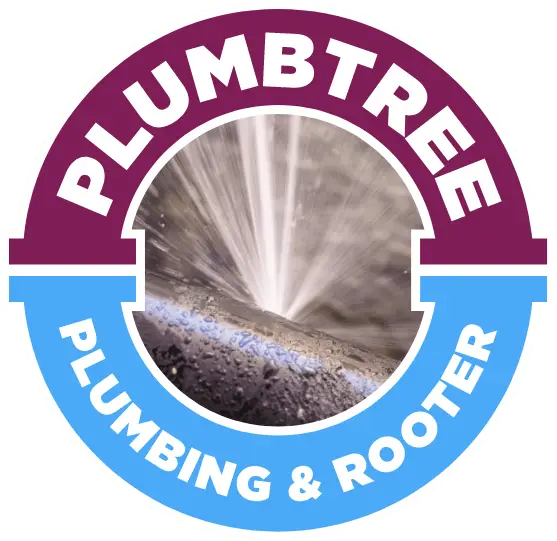 Water Leak Detection & Repair in Campbell, CA