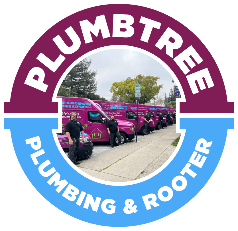 Reliable Plumber in Saratoga, CA