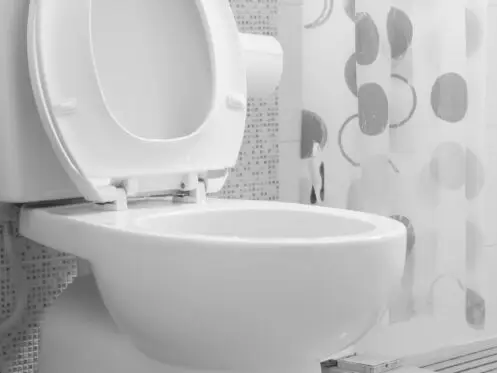 Toilet Installation in San Jose, CA