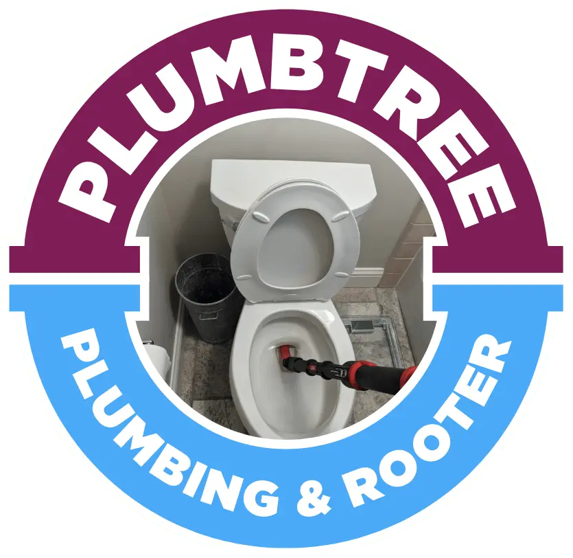 Toilet Repair & Installation in Mountain View, CA