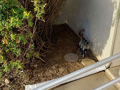Sewer Company in San Jose, CA