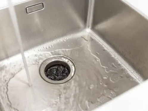 Keep your garbage disposal running smoothly with regular maintenance tips from Plumbtree Plumbing & Rooter. Learn how to prevent clogs, eliminate odors, and extend the lifespan of your appliance.