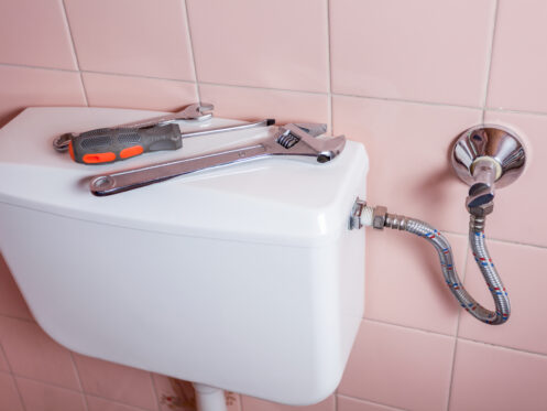 How to Fix Common Toilet Issues